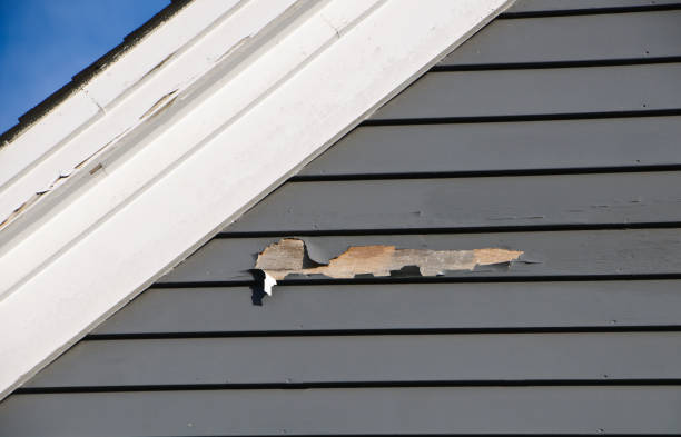 Best Storm Damage Siding Repair  in USA